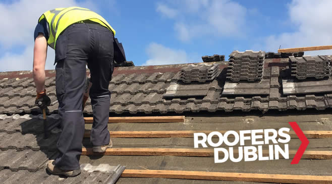 Roofer Dunboyne